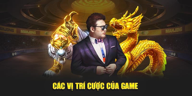 Các vị trí cược của game