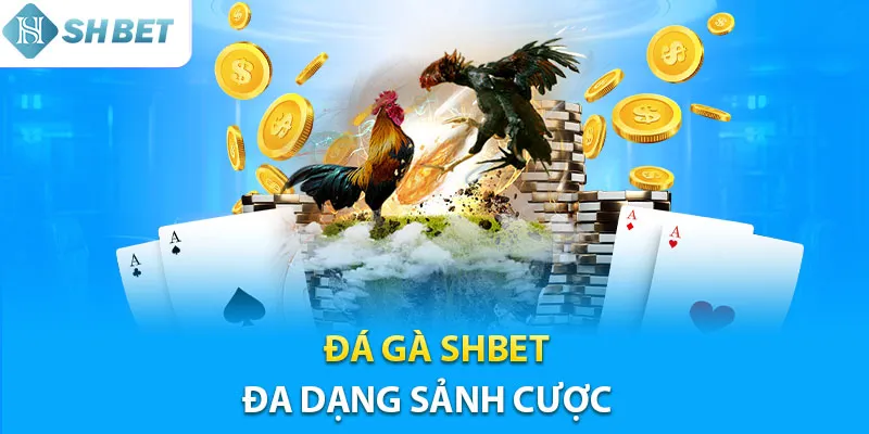 Cược đá gà Shbet đa dạng, cược thủ dễ hiểu dễ chơi